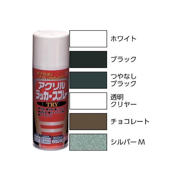 他サイト： ニッペ　アクリルラッカースプレーＴＲＹ　３００ｍｌ　シルバーメタリックの商品画像