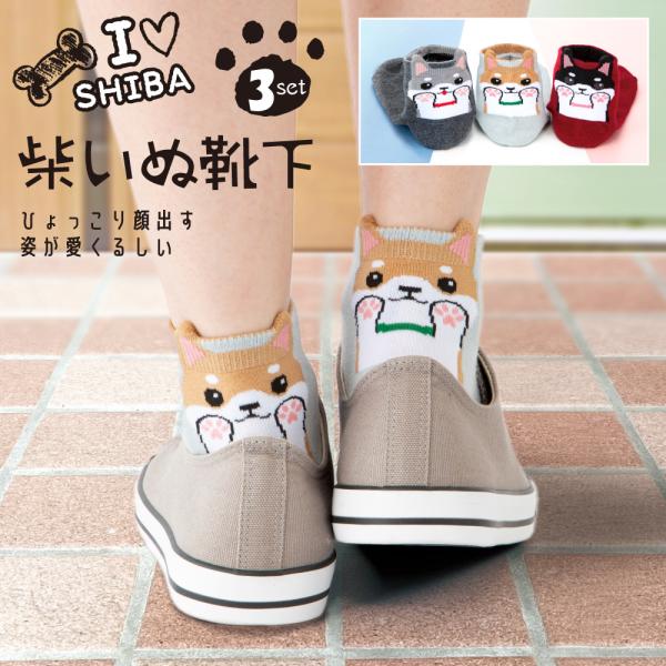 新柄登場！ 3足組【人気】ひょっこり可愛いわんこソックス キャラクター 靴下 綿混 3足セット レディース 綿混 3足セット レディースソックス キャラクター 爆買