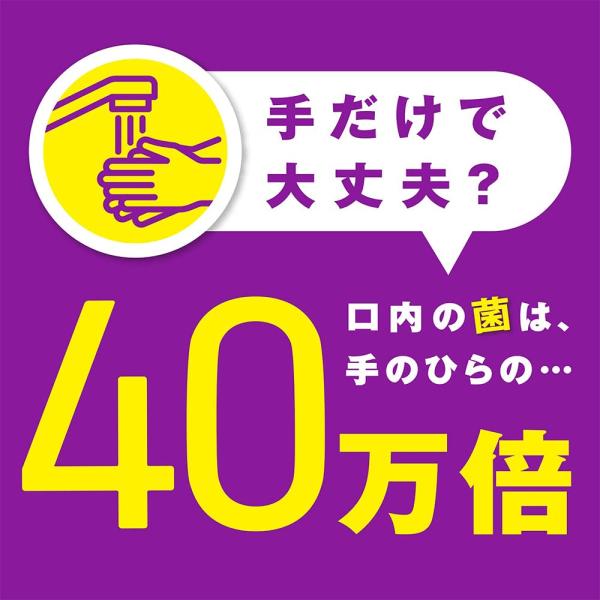 ��p���X�e���� �g�[�^���P�A�v���X �N���[���~���g�� �}�E�X�E�H�b�V��(1000ml*6�Z�b�g) ���i�摜2
