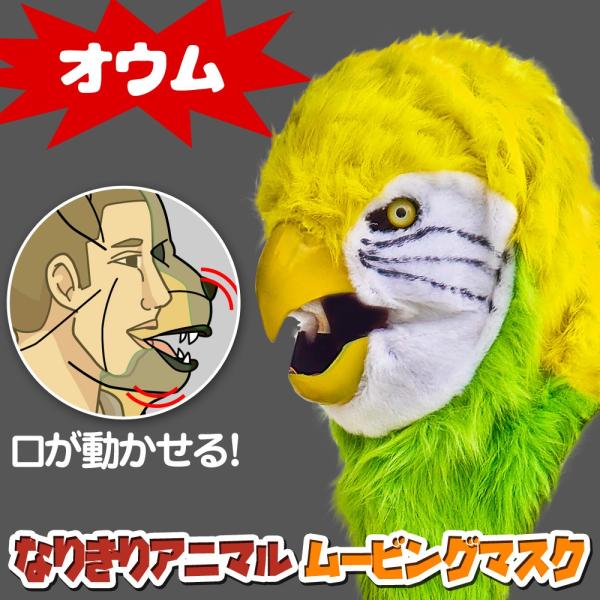  Aj}[rO}XN y parrot IE z CR  Aj}}XN A [rO}XN  蕨 RXv  nEB