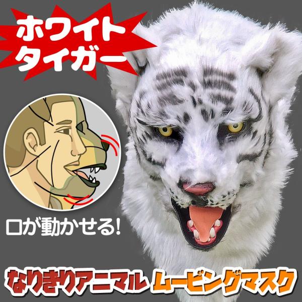  Aj}[rO}XN y WhiteTiger zCg^CK[ z   Aj}}XN A }XN RXv  nEB