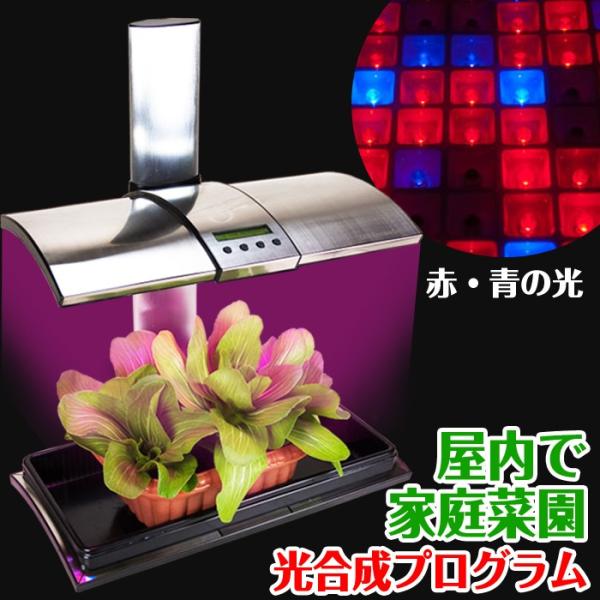 k͔|Lbg A琬 LEDCgt ݉p`F[ C[tbN y Lb`K[f LED Kitchen Garden z ؍͔|Lbg GR SDGs TXeiu