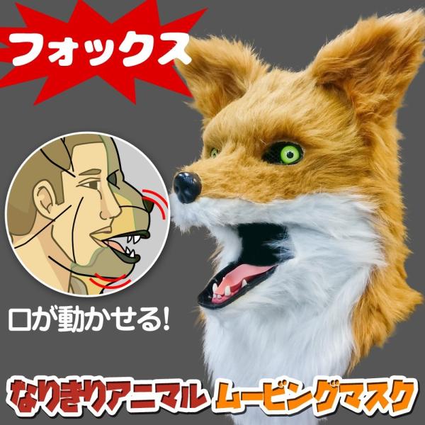  Aj}[rO}XN y Fox tHbNX z  Aj}}XN A  蕨  RXv  nEB Cxg Cu