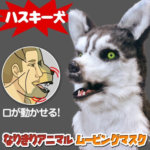  Aj}[rO}XN y Husky nXL[ z  Aj}}XN A  蕨  RXv  nEB Cxg