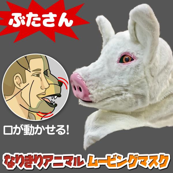  Aj}[rO}XN y Pig Ԃ z u^ Aj}}XN A [rO}XN  蕨  RXv  nEB