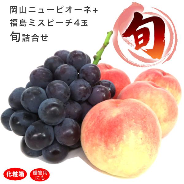 e-mpress_momopi-set-4-1