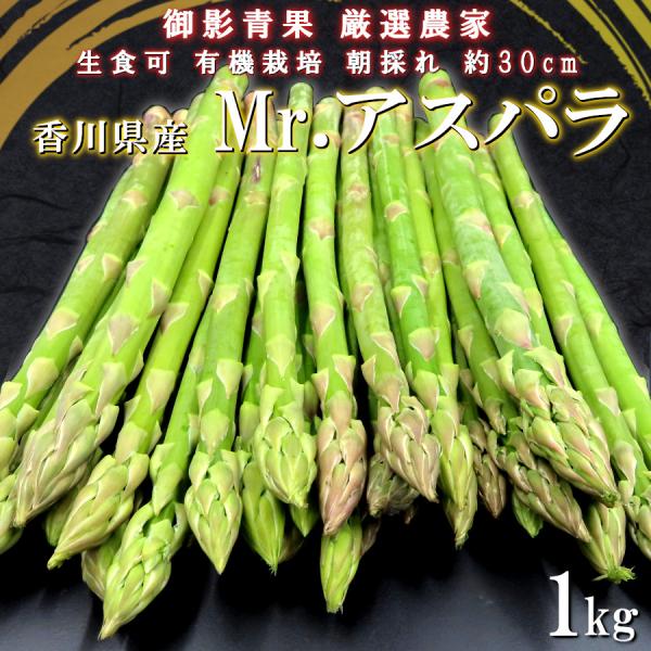 アスパラガス 野菜 旬 有機栽培 さぬきのめざめ Mrアスパラ 甘い 1kg 農家直送 産地直送 朝どれ 国産 アスパラ 2023 食べ物 ギフト  通販 送料無料