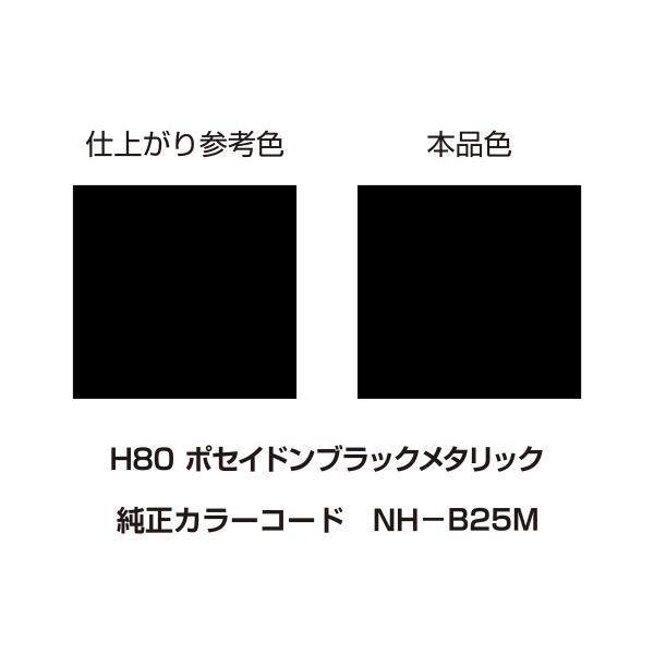 DAYTONA（デイトナ） MCペインター（R） 【H80】 ポセイドンブラック