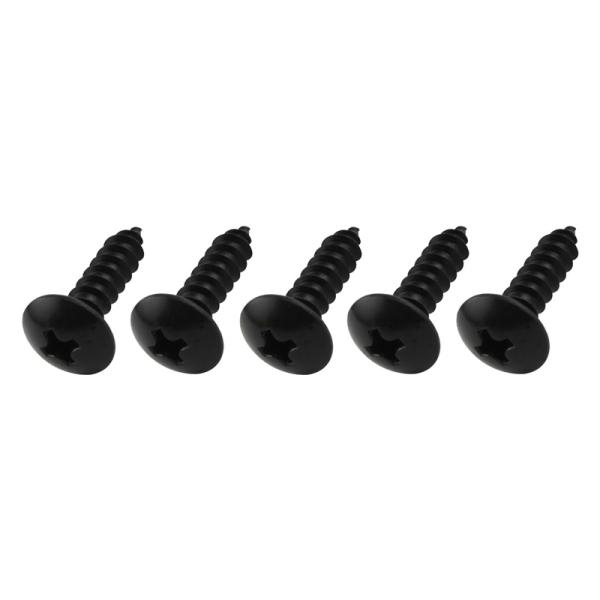 POSH Faith（ポッシュ フェイス）ステンレスタッピングビス(5本入)　ブラック　M4X16mm｜ブラック｜900416-K1