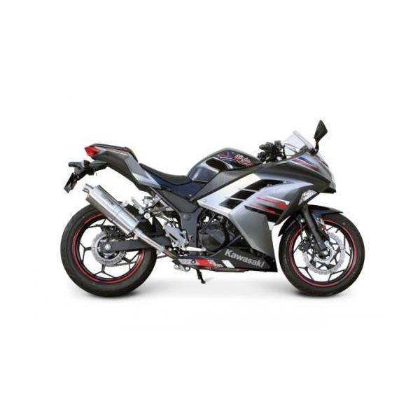 SPi^PKjp[TCgI[o}t[ Ninja250@EX250L-A00049`/13-04-0025