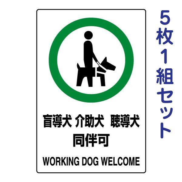 ӓ    JISKiXebJ[ SW 51g  Ď  H X q 803-58