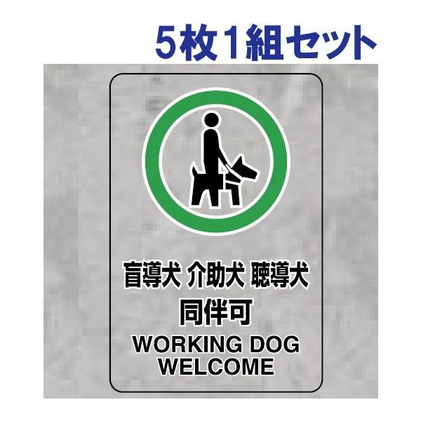 ӓ    XebJ[ SW 51g TCY p   ֎~ x Ď  807-55B