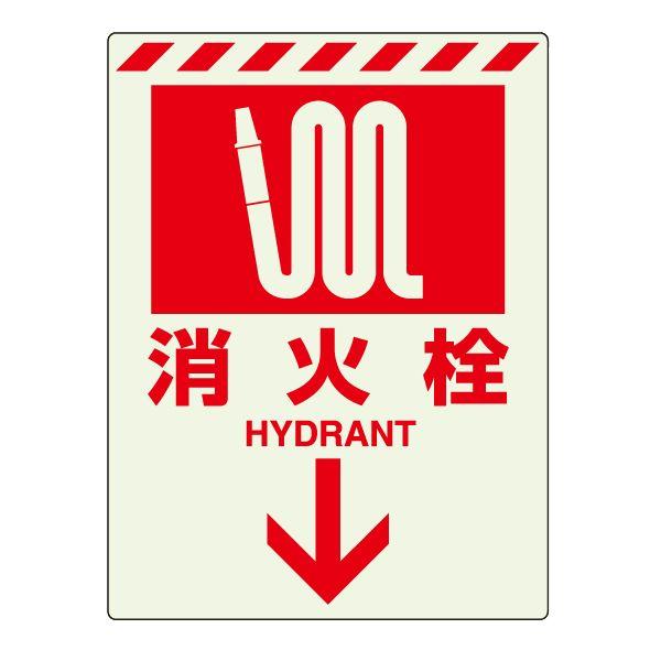 ΐ  hW XebJ[ Ŕ  h V[ Ηpi ~ 댯    X H 831-09