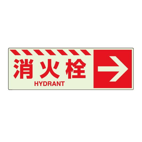 ΐ  hW XebJ[ Ŕ E h V[ Ηpi ~ 댯    X H 831-19