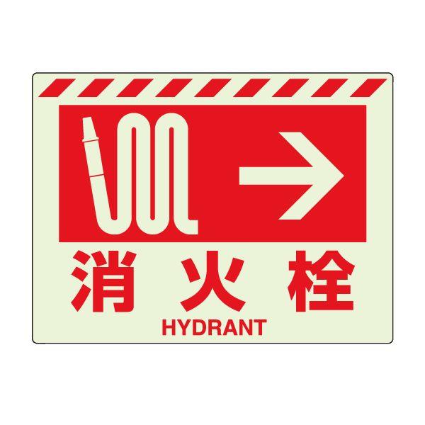 ΐ  hW XebJ[ Ŕ E h V[ Ηpi ~ 댯    X H 831-55