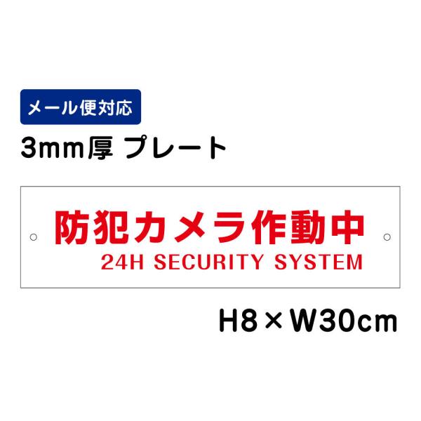 �h�ƃJ�����쓮�� 24H SECURITY SYSTEM /H8×W30cm �v���[�g �Ŕv���[�g �i���֎~�@���ӏ��� ATT-001