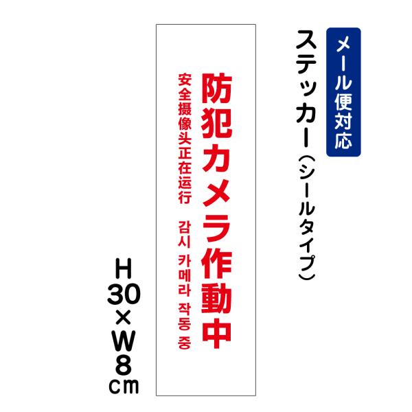 防犯カメラ作動中 24H SECURITY SYSTEM 外国語表記 （赤文字） /H30×W8cm 看板ステッカー 進入禁止防犯対策 ATT-004stt