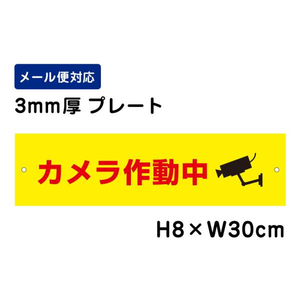 カメラ作動中 ピクト表示 /H8×W30cm プレート 看板 注意喚起 防犯対策 進入禁止 侵入防止 表示 ATT-011