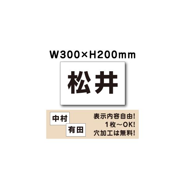 ԏ Ŕ O\ v[g H200×W300~ ԏꖼD Ж Dv[g l[v[g Жv[g CN-102name