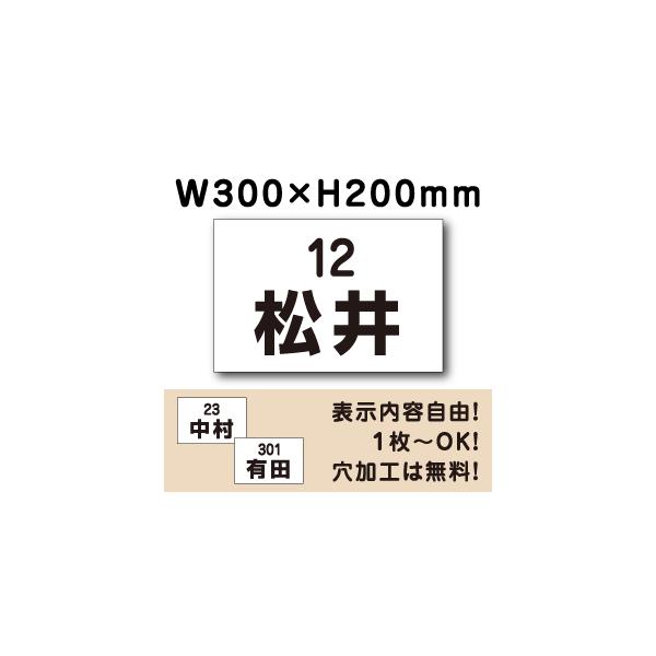 ԏ Ŕ O\ v[g H200×W300~ ԏꖼD Ж Dv[g l[v[g Жv[g cn-6-2