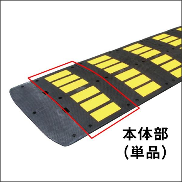 ��������F�^�C�v�Q ������ �{�̕� ���ԏ� �p�[�L���O �H�� ���� ����~�� �� TYPE-021