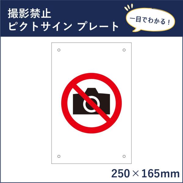 撮影禁止 ピクトサイン H250×W165mm ピクトグラム マーク 注意プレート 看板 カメラ禁止 録画禁止 mark-03