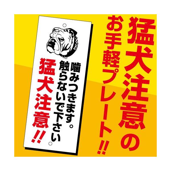 �Ҍ����� �v���[�g�i���݂��܂��j H20×W8cm MT-plate