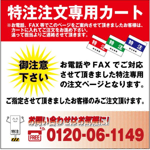 特注
