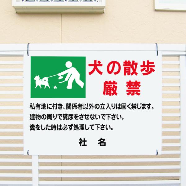 Amazon | 看板のコンビニオリジナル注意・禁止看板 犬の散歩厳禁