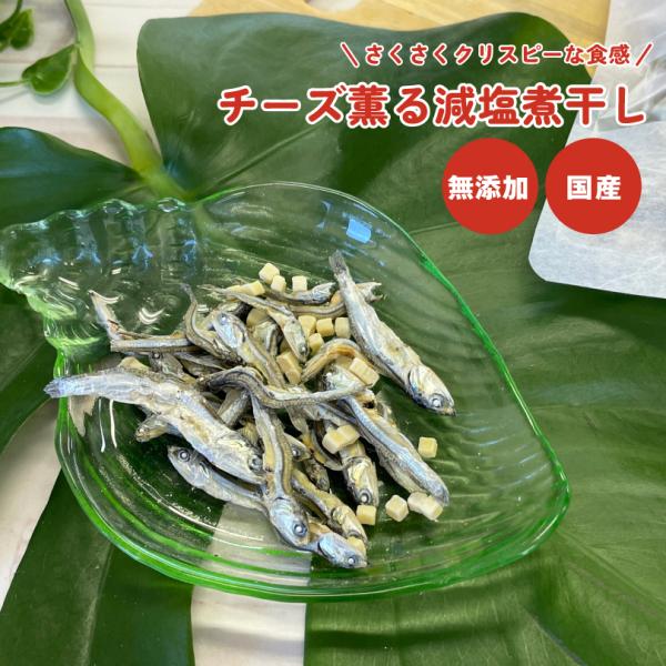 犬 おやつ 無添加 国産 チーズ薫る減塩煮干し 35g プロセスチーズ 煮干し 減塩  しつけ サクサク 犬のおやつ 犬用  ペットおやつ ドックステーブルプラス sw-23
