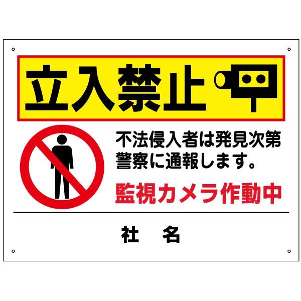立入禁止 看板 立ち入り禁止 監視カメラ作動中 H45×W60cm T2-48