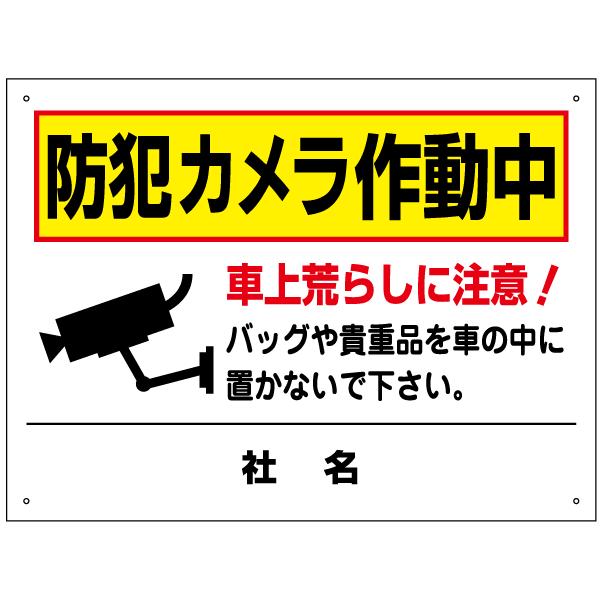 hƃJ쓮 ԏ Ŕ / H45×W60cm ԏr炵 ΍ ԏ_ ԗr炵   X[p[ T2-58