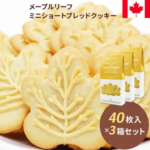 メープルリーフ ミニショートブレッドクッキー 3箱セット | カナダ土産