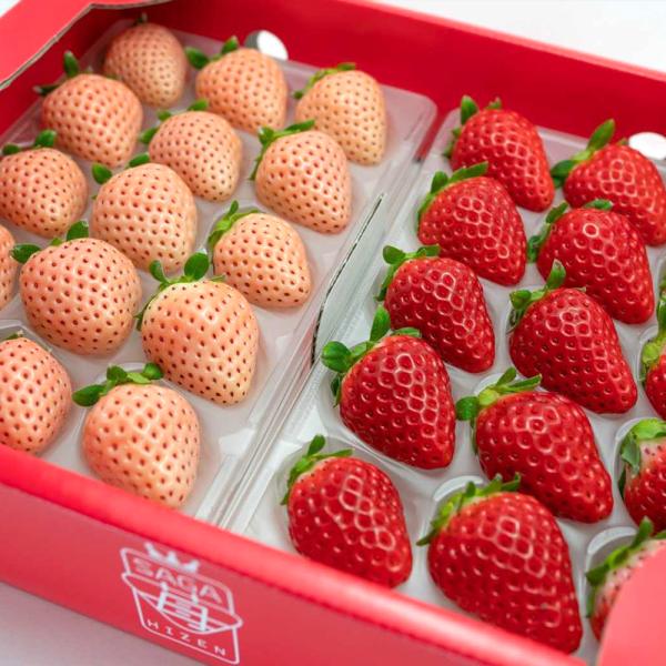 別名「白イチゴ」とも呼ばれ、完熟しても美しいほのかな桜色が特徴的な「淡雪」と、大粒で艶のある鮮紅色が果肉がしっかりしている、佐賀を代表するブランドいちご「さがほのか」をお届けいたします。【淡雪】さがほのかの突然変異で誕生したとされるイチゴの...