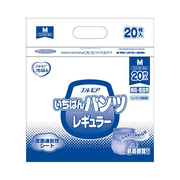 GA΂@Ɩp͂pc M[M 20 6