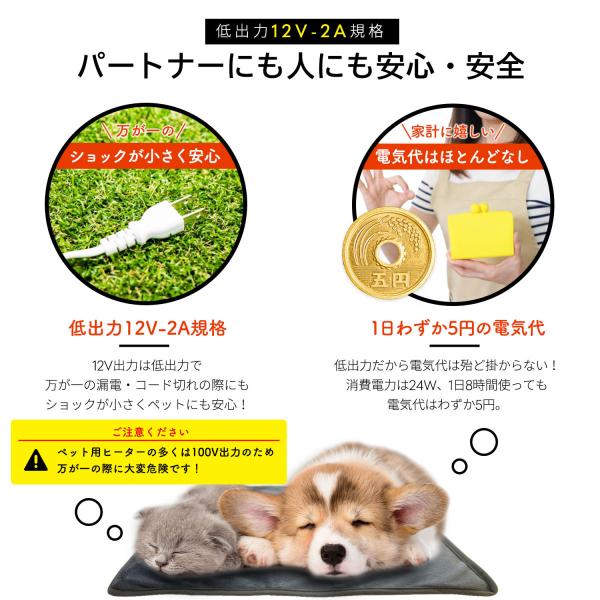 e-petlife_mc-pet-hotcarpet_1