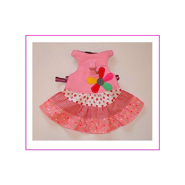 [pn[lX]eBA[hXJ[gn[lXisNj