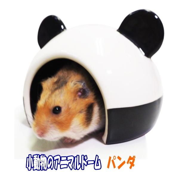 [C{[]nX^[EfO[p퐻nEX̃Aj}h[Ep_