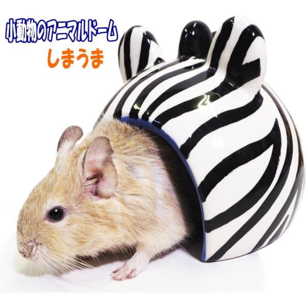 [C{[]nX^[EfO[p퐻nEX̃Aj}h[E܂