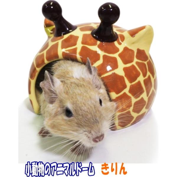 小動物用品 e-petyasan_4589462719645