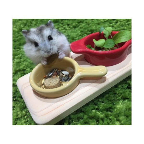 ハムスターのかわいい食卓！P2ハムスター用食器＆テーブル! ハムズ