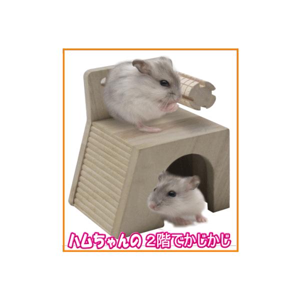 ハムスター・リスなどの小動物用ハムちゃんの2階でかじかじ組み立てサイズ：幅約9.5cm×奥行約8.3cm×高さ約12cm●かじって壊すことにより、歯の伸び過ぎを予防したり、ストレス発散に役立ちます。●隠れ家としてご使用できます。●「リス・ハ...