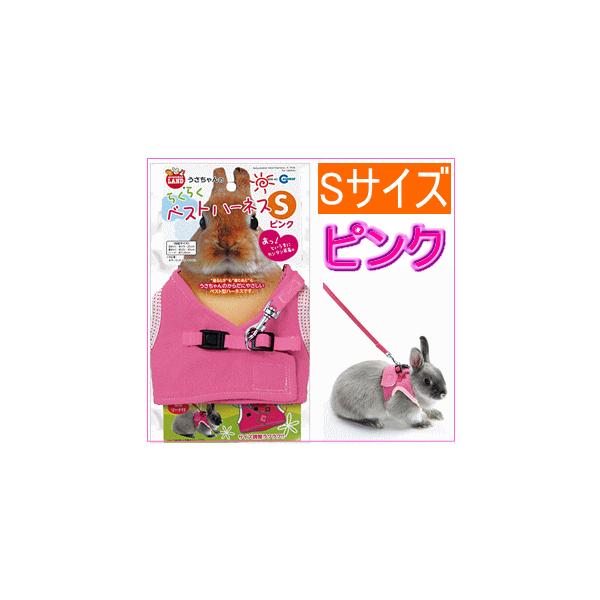 [}J]̂炭炭xXgn[lXSisNj