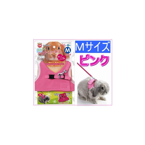 [}J]̂炭炭xXgn[lXl(sNj