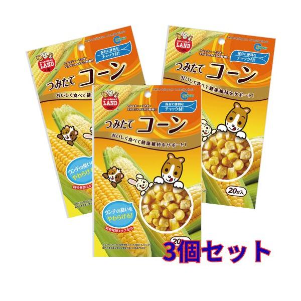 他サイト： 小動物の大好きな食材をサクサクのおやつに！つみたてコーン20g×３個　マルカンMR-825の商品画像