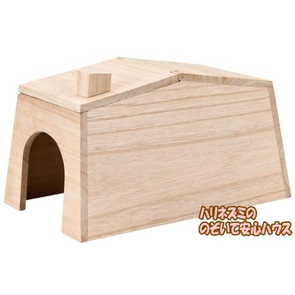 [}J]nlY~Ebg̉tnEXnlY~̂̂ĈSnEX