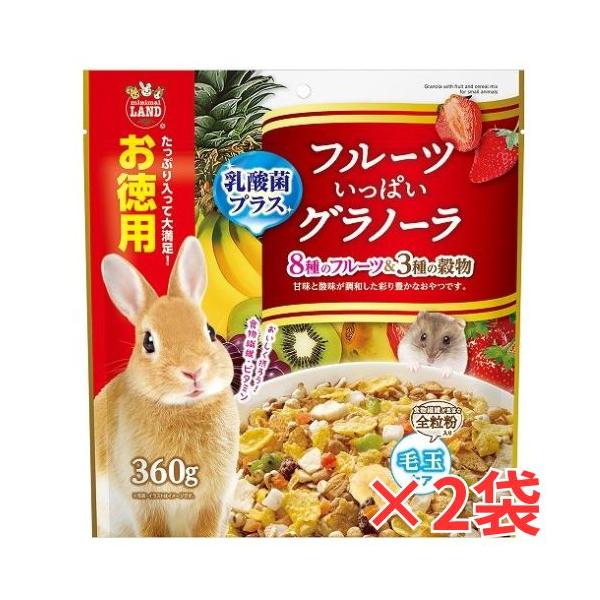 2個セット うさぎ・モルモット・ハムスターなどの小動物用おやつ