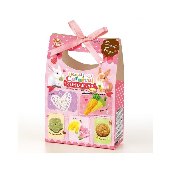 うさぎ・チンチラ・モルモットなどの小動物のおもちゃラビットカーニバルごほうびボックス天然素材のかわいいおもちゃ5種セット。いろいろな素材のおもちゃをかじることで歯の伸びすぎ防止やストレス発散に役立ちます。メーカー：マルカン