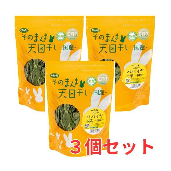 そのまんま天日干し!パパイヤの葉 KAWAI×3個セット