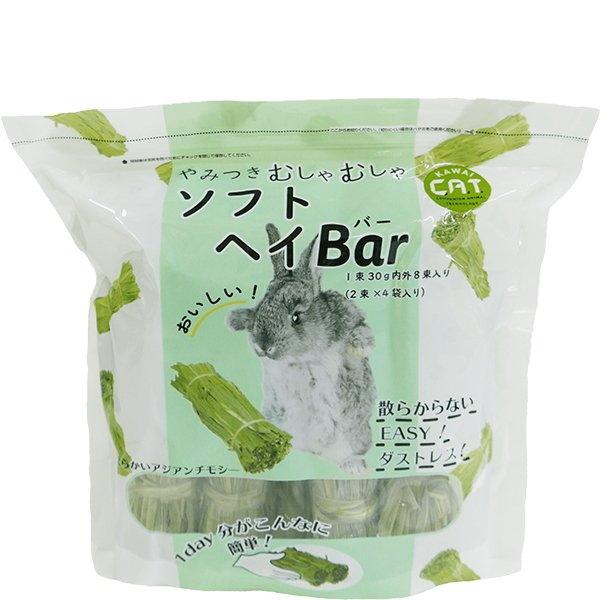 ダストレスのアジアンチモシ―（イネ科）です!やみつきむしゃむしゃ ソフトヘイBar[KAWAI 川井]